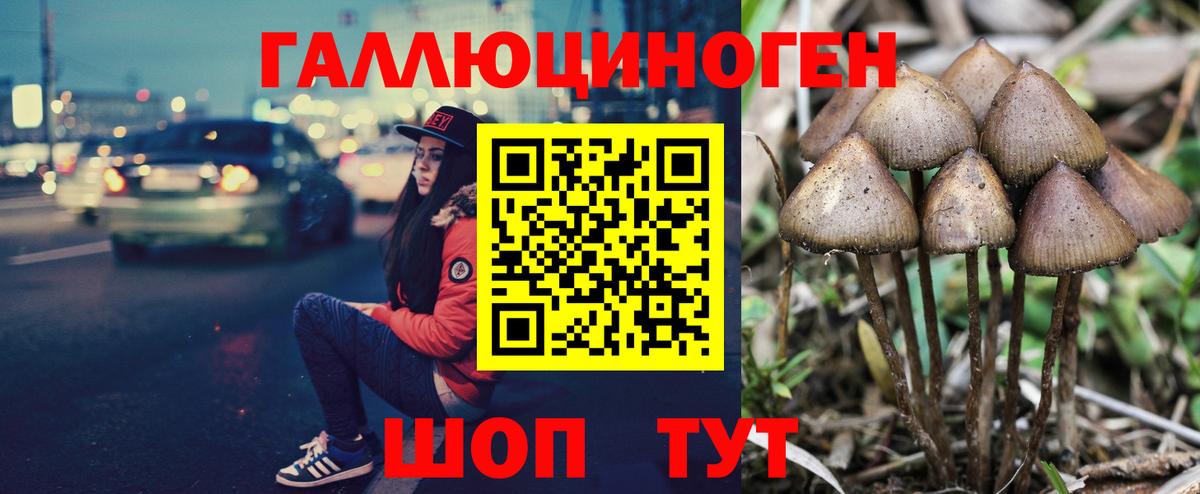 Омск  Галлюциногенные грибы Cubensis  Вход с VPN 
